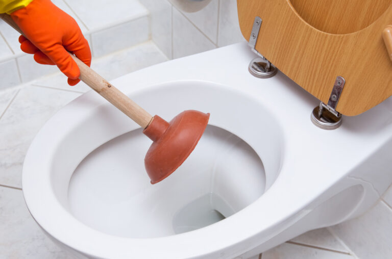 How To Unblock A Toilet? Check Out This DIY Guide!